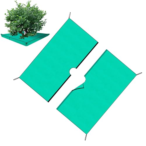 Telo Per Paesaggistica | Copertura per Terreno da Giardino | Telo Impermeabile Resistente 200 X 200 cm Barriera Copriprato Per Esterno Giardino