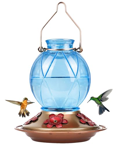 Bolite hummingbird feeder, glass hummingbird feeders for outdoors,...