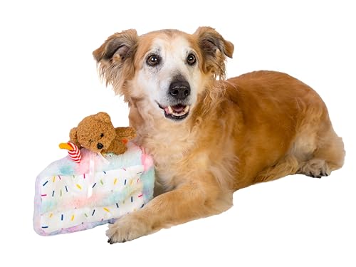 Dingo Waldemar Rutkowski Giocattolo di Peluche Tortina con Orsetto e Cappellino di Compleanno, con Squeaker all'Interno, Morbido e Leggero per il Gioco Interattivo con il Cane (Z30045)
