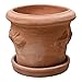 Pflanzgefäß Blumentopf Italienisches Terracotta Conca LIMONI mit Teller/Untersetzer für den Innen- und Außenbereich (30cm)