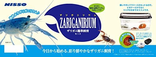 Amazon ニッソー ザリガニリウム ザリガニ簡単飼育セット ニッソー 飼育セット 通販