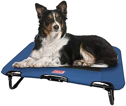 folding dog cot bed