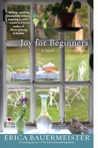 Joy for Beginners view 2