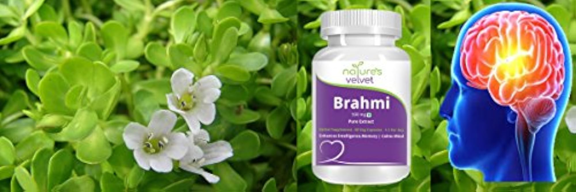 Brahmi Pure Extract, 500mg, 60 Veg Capsules