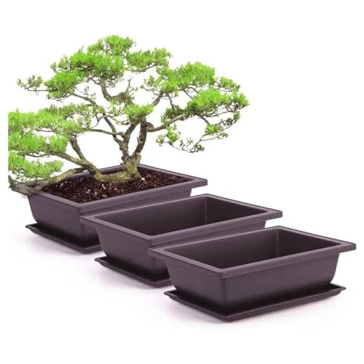 6 delar rektangulär växtkruka, plast bonsai träningskannor, blommor suckulenta krukor med brickor blomkruka behållare hållbara växter växande krukor för trädgård, inomhus, hem dekorativa små