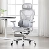 DAYALANE Chaise de Bureau Ergonomique Fauteuil de Bureau Pivotant et Réglable en Hauteur Chaise de Travail avec Appui Tête 3D Support Lombaire Accoudoirs Repose Pieds, Gris