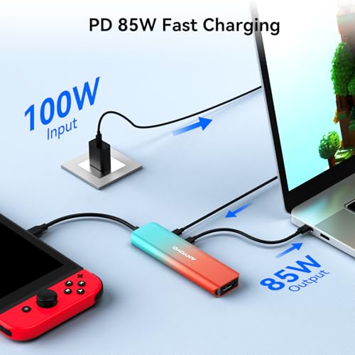 ANYOYO Capture Card für Nintendo Switch, 1080P 60FPS USB/Type-C 3.0 HDMI Video Capture Card mit PD 100W Ladeanschluss, Eingebauter Multifunktions-Hub Kompatibel mit Switch, PS4/5, PC und Mac