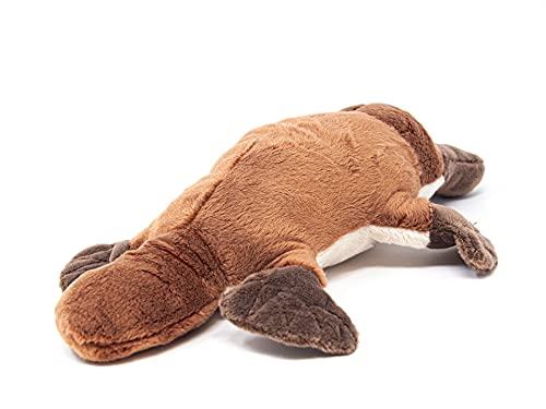 Cornelißen - 1017274 - Schnabeltier, Platypus, Plüsch, Stofftier, 28cm, waschbar bis 30 Grad