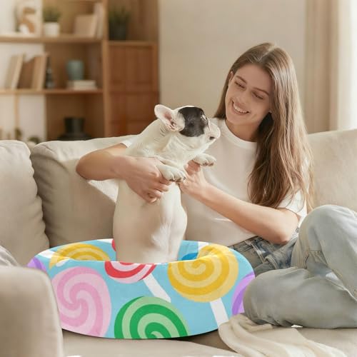 Lits chauds pour animaux petite taille XS panier doux
