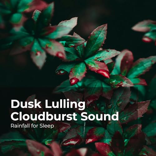 Play Dusk Lulling Cloudburst Sound by Rainfall For Sleep, Rain Shower