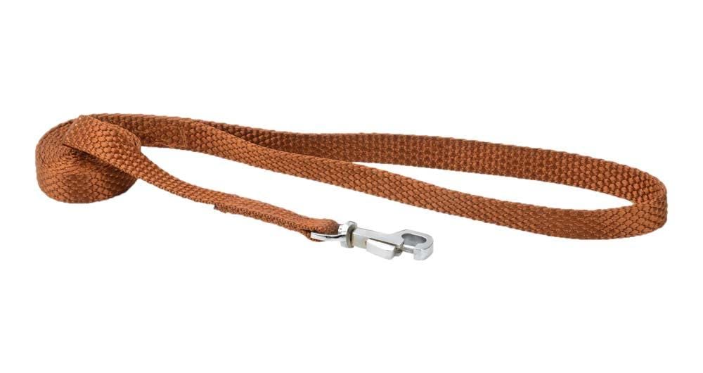 KENNEL E7 Nylon Lead 1 INCH (Blue) (B0721F9X5P) Amazon Price History, Amazon Price Tracker