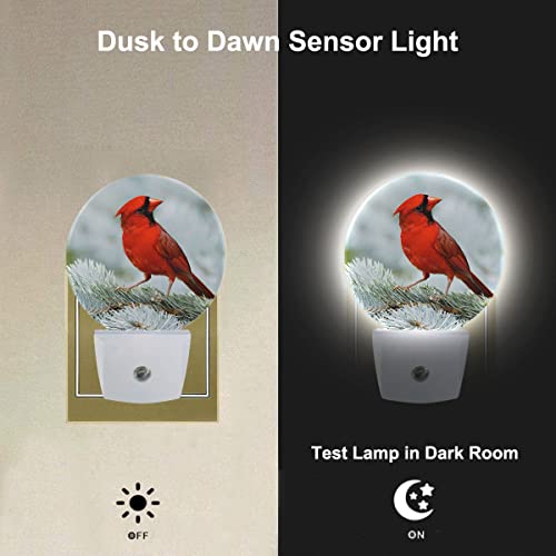Image of Cardinal Night Light Northern Red Bird On Tree Branch Plug-in Nightlight LED Auto on /Off for Hallway Stairway Kitchen Men Women Bedroom