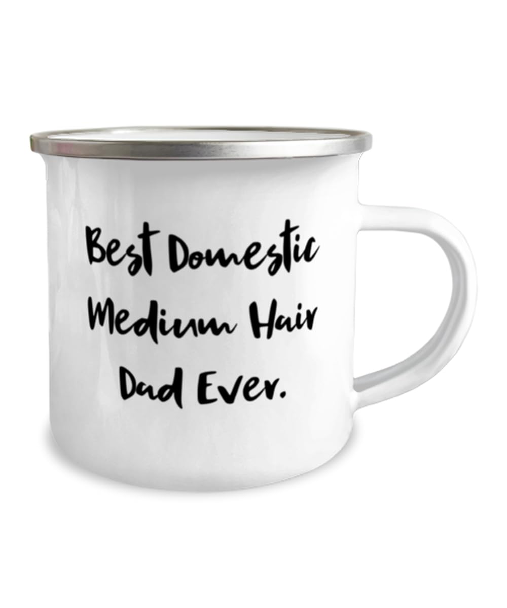 Mother's Day Unique Gifts for Cat Lovers, Funny Domestic Medium Hair Gifts from Friends, Best Domestic Medium Hair Cat Dad Mug