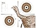 Kutco Turkey Shooting Targets - Dual-Purpose Paper Targets for Hunting & Precision Shooting, 22.5’’ x 17.5’’ (30)