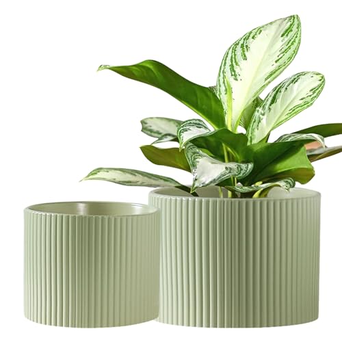 Swicken 8.1 and 6 Inch Ceramic Pots