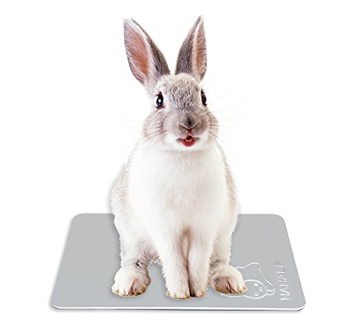 Elome(イローム) ペット ひんやりアルミプレート クーリング ひんやりパッド 20X30CM うさぎ モルモット ハリネズミ チンチラ 小型犬 猫 兼用 アルミボード クールパッド 暑さ対策 夏用 冷感 熱中症対策 爽快 シルバー