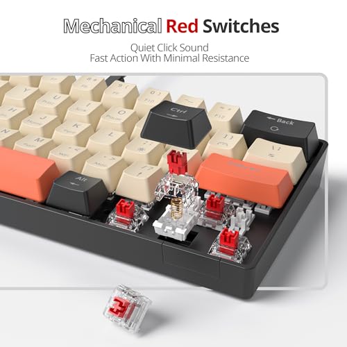 Image of 60% Mechanical Keyboard 61-Key Wired Gaming Keyboard with Red Switch RGB Lighting Effect PBT Keycaps Ultra-Compact Mini Keyboard Suitable for Win /Mac(61 Carbon)