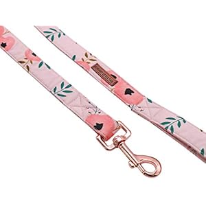 Elegant little tail Dog Leash Heavy Duty Durable & Strong Dog Leash with Comfortable Handle Multipurpose Leashes for Small Medium Large Dogs Elegant little tail Dog Leash Heavy Duty Durable Strong Dog Leash with Comfortable Handle Multipurpose Leashes for Small Medium Large Dogs