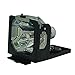 Sanyo PLCXW20AR Multimedia Original Projector Bulb