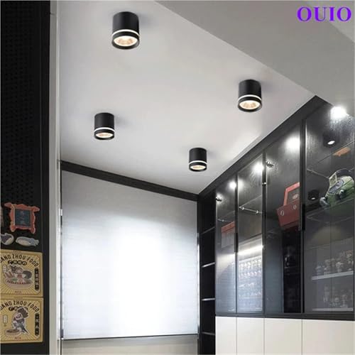 Spot de plafond LED pour éclairage d'intérieur chaleureux du salon