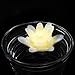 Acmee (Pack of 4) 3 Inch Flameless Wax LED Water Floating Candle Light Battery Operated LED Floating Flower Candle LED Floating Candles for Wedding or Event Pool or Bathtub Decoration.(Warm White)