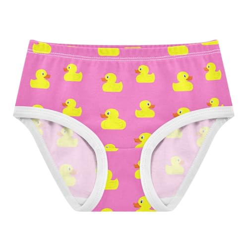Cute Duck Toddler Girls's Underwear 2T 202c1824