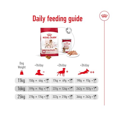 Royal Canin Medium Adult, 1er Pack (1 x 10 kg Beutel) - Hundefutter