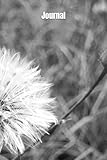 Journal