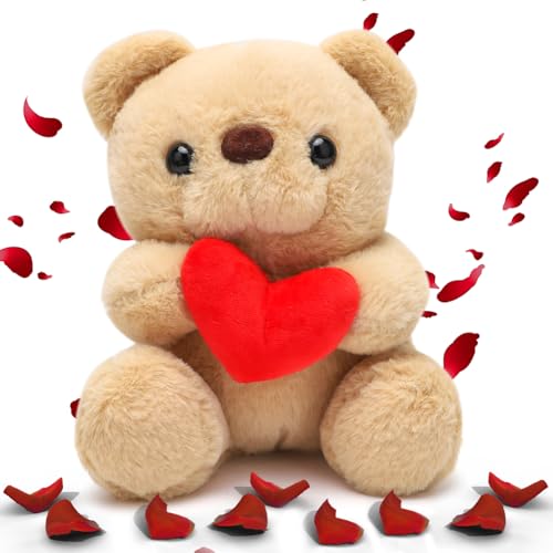 Imagen de DASIAUTOEM Oso de peluche con corazón rojo