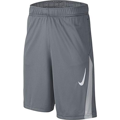 Nike Boys Big Kids Core Training Shorts Gray | White Small
