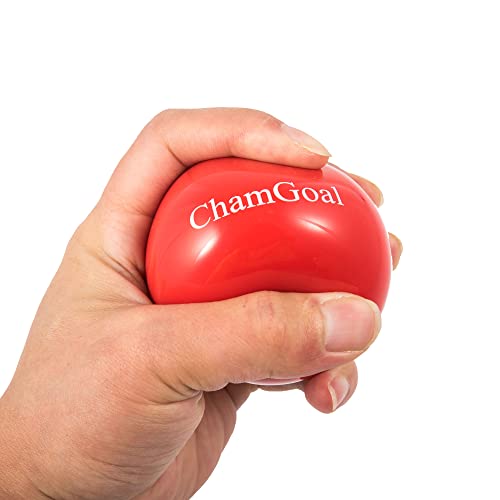 Chamgoal 6 Pack Weighted Ball Set 2.8" Baseball & Softball Practice Training Balls, Pvc Shell, Iron Sand Filling Baseball Pitching And Velocity Training Heavy Balls For Hitting, Batting And Pitching #TOP2