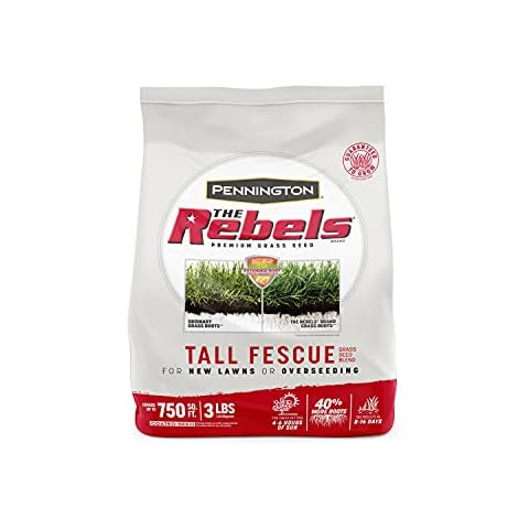 Pennington 100543728 The Rebels Tall Fescue Grass Seed Mix 3 lb, Black Label Cover