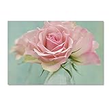 Trademark Fine Art ALI1874-C3047GG Pink Roses by Cora Niele, 30x47-Inch, 30 in x 47 in