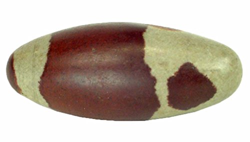 �V���@Lingam Lingum 96 mm x 40 mm Lingham Stone Egg�C���hNarmada��