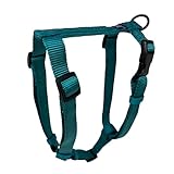 Hamilton Adjustable Comfort Nylon Dog Harness, Teal, 3/4" x 20-30"