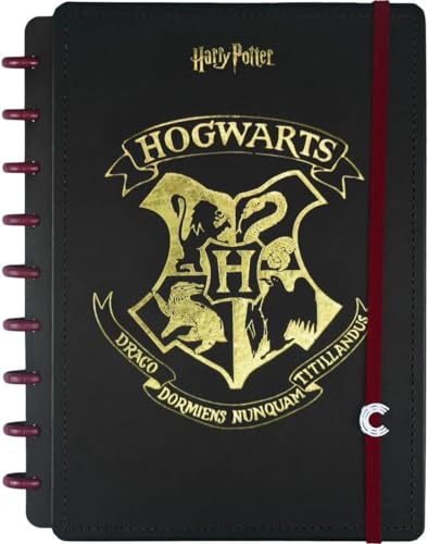 Caderno Inteligente, Médio, Harry Potter, 172x231mm, 80 Folhas