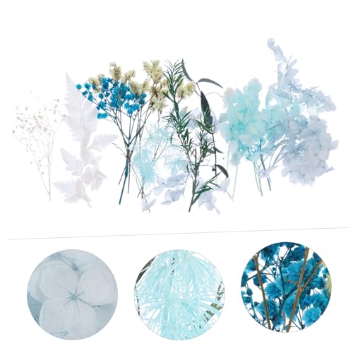 Kit de flores secas para manualidades DIY DECHOUS miniatura 7