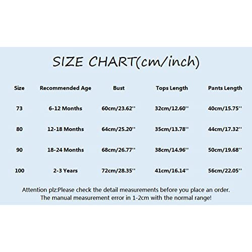 Newborn Baby Boy Girl Fall Winter Outfit Sweatsuit Tracksuit Solid Long Sleeve Pullover Sweatshirt and Sweatpants Set3