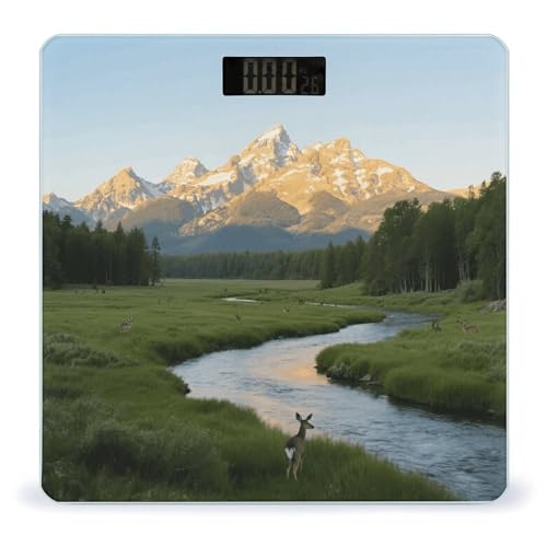 Báscula Digital de Baño con Pantalla LCD y Vidrio Templado