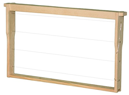 30 Deutsch Normal Maß DNM Rähmchen / Rahmen MODIFIZIERT mit Hoffmann Seiten aus LINDENHOLZ fertig montiert waagerechte Drahtung, Europa- Qualität, mit Edelstahldraht und Messingösen 394 x 223 mm Cover