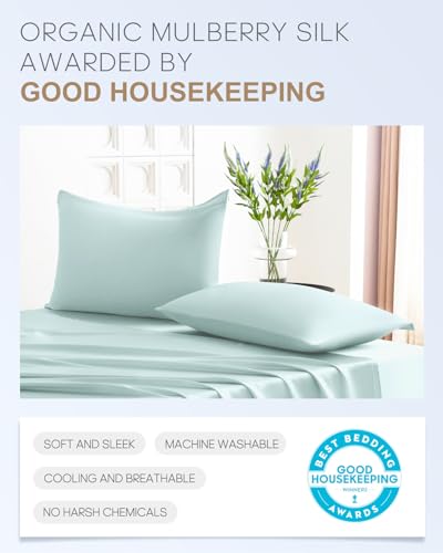 Image of THXSILK Set of 2 100% Mulberry Silk Pillowcase for Hair and Skin Health, 22 Momme Soft and Smooth Pillowcases with Hidden Zipper, Both Sides Premium Grade 6A+ Silk, Standard 20 inchx26 inch, Light Blue