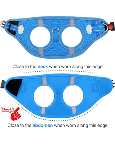 Joytale Hundegeschirr Kleine Hunde, Reflektierend Weich Gepolstert Geschirr, Air-Mesh Brustgeschirr Hund klein, S, Baby Blau