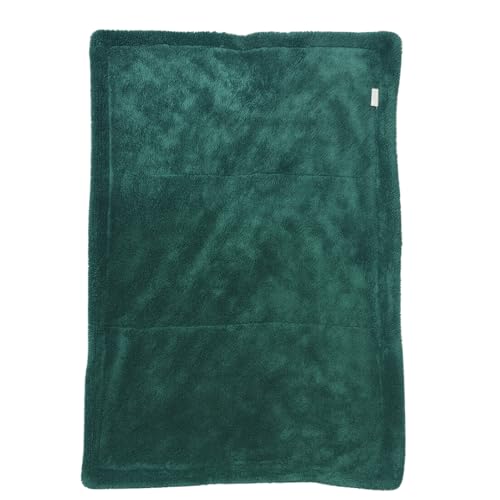 Image of AM Safe-X Microfiber Cloth for Car 1200 GSM 40x60 cms 1 Pcs Twisted Loop Super Absorbent Towel, Edgeless Design with Plush Pile & Lint Free Cloth for Drying & Detailing, Metallic Green & Grey
