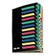 Pagna Deskorganizer Classic (Sammelmappe, 12 Fächer, 1-12) schwarz