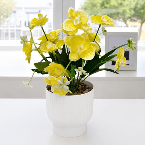 Image of CURATED CART Flower Pot with Artificial Flowers - Orchid Yellow Flower with White Vase | Ideal for Home Decor | Office Decor | Gifting | Size 25 x 15cm