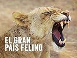 irvine welsh livres  El Gran País Felino