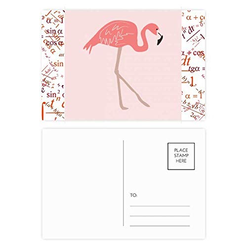 Carte postale Merci imprimée Flamant rose lot de 20 pièces pour correspondance