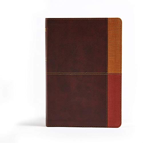 NIV Rainbow Study Bible, Cocoa/Terra Cotta/Ochre LeatherTouch, Indexed