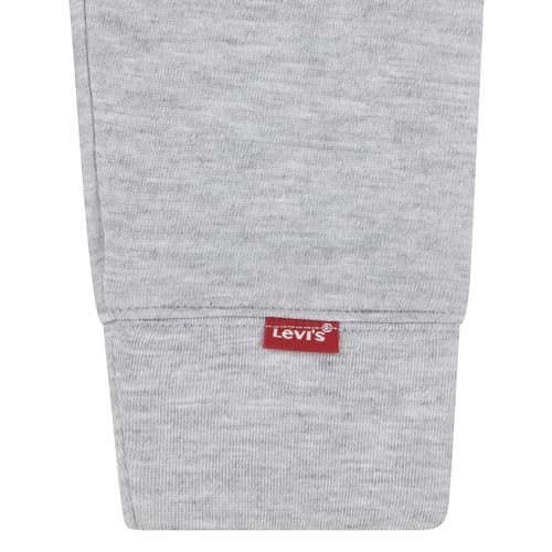 Image of Levi's Boy's Pullover Hoodie (Big Kids)