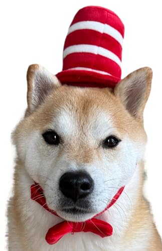 Sombrero y pajarita rojo y blanco para perro, tamaño M